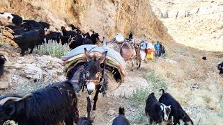 The End of Life in the Mountains See the Amazing Migration of the Nomads [upl. by Trip]