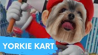 Como ganhar no Mario Kart  Mario Kart Challenge TikTok  Shorts [upl. by Ahsinawt]