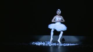 Les Ballets Trockadero de Monte Carlo  The Dying Swan [upl. by Kirred833]