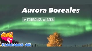 Aurora Boreales Fairbanks Alaska [upl. by Ellegna361]