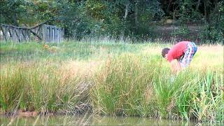 24 hours carp fishing at Wylands House lake 16th Video [upl. by Dlnaod794]