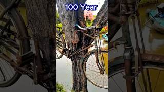 The worlds oldest bicycle is in a tree😱 [upl. by Ahsetra]