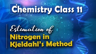 Estimation of Nitrogen in Kjeldahl’s Method  Basic Principles and Techniques in Organic Chemistry [upl. by Niliram]