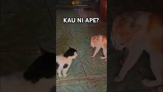 dia cakap apeu tu raju kucing cat kucinglucu [upl. by Emmi61]