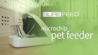 SureFeed Microchip Pet Feeder  Lid Close Delay Settings [upl. by Zolnay]