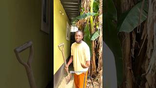 I no want wahala funny shorts subscribe foryou [upl. by Cindy]