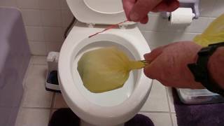 Unclog Toilet Without Plunger Quickly and Easily  The originator of the brush and bag method [upl. by Altheta]