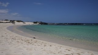 El Cotillo Beach and Lagoons [upl. by Lim330]