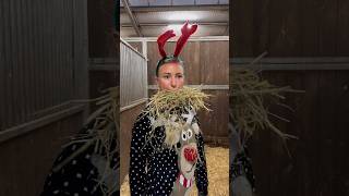 Pferdehofliebe  Schöne Feiertage 🎅🎄 pferdehofliebe froheweihnachten equestrian youtubeshorts [upl. by Eiramlirpa130]