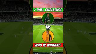 Shoaib Akhtar VS Brett Lee in Dream Cricket 24 shorts dc24 cricket shortsfeed [upl. by Anor643]