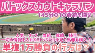 【パドック 衝撃の結末】人気オッズ騎手血統成績全ての情報を遮断してパドックのみで馬券を購入！「第１回パドックスカウトキャラバン」 [upl. by Walrath]