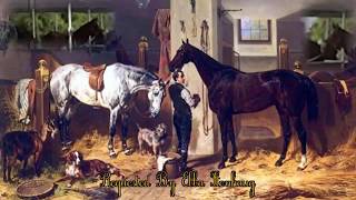 ▶️ Horse Stables Ambience Horse Sounds Horse Sound Effects Horse ASMR 12 Hours 🌏 [upl. by Tikna]