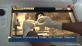 Tissue Processing Steps for Frozen Samples [upl. by Map]