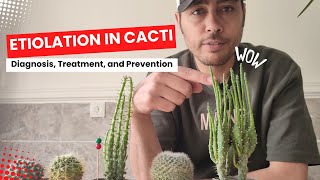 Unveiling the Secrets of Cactus Etiolation Causes and Solutions [upl. by Hanselka122]