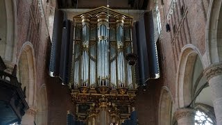 Wolfgang Zerer organ Weckmann and Froberger 17 July 2016 Leiden [upl. by Oira]