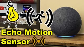 Create Ultrasound Motion Detection Routines on Amazon Echos [upl. by Willmert201]