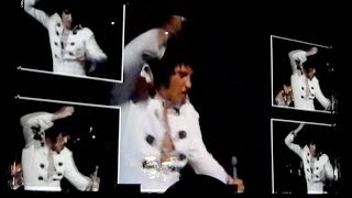 Elvis Presley  Polk Salad Annie Live  Le Grand Rex Paris 2014 HD [upl. by Palladin]