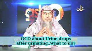 OCD about urine drops after urinating what to do  Sheikh Assim Al Hakeem [upl. by Bergeron767]