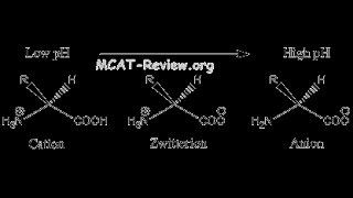 Amino acid affect on pH  BIOCHEMISTRY  MADE EASY protonation and deprotonation [upl. by Sokem]