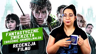 Fantastyczne Zwierzęta Zbrodnie Grindelwalda 2018  Recenzja Filmu  Bardziej RANT Full SPOILER [upl. by Ahtera]