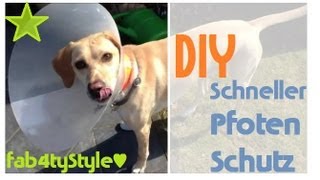 DIY Schneller Pfotenschutz Bettys Hunde [upl. by Ajam]