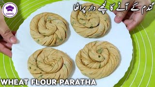 Lachedar Crispy Masala Paratha Recipe  Wheat Flour Crispy Paratha Recipe [upl. by Eillim634]