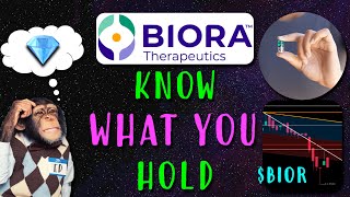 Biora Therapeutics Stock BIOR Know What You Hold [upl. by Eytteb923]