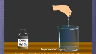 Dehydrating Property of Concentrated Sulphuric Acid [upl. by Newnorb]