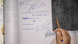 Somatosensory cortex part 2 guyton 48 function of somatosensory areas [upl. by Coats]