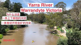 Warrandyte Melbourne  Yarra River 漫步雅拉河（四） [upl. by Oleusnoc]