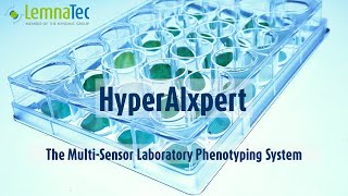 Phenotyping with LemnaTec HyperAIxpert [upl. by Annavas91]