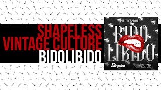 Vintage Culture Shapeless  Bidolibido [upl. by Anelej]