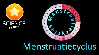 Menstruatiecyclus  menstruele cyclus [upl. by Gladstone162]