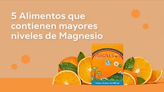 5 Alimentos que tienen mayores niveles de magnesio [upl. by Saffren602]