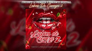 Conjunto La Primacía x Conjunto Selectivo  Labios De Cereza 2 LETRA  2024 [upl. by Gaw]