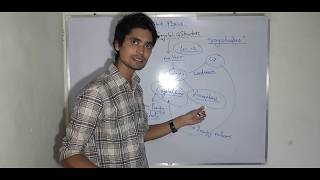 lec2 hindi single and polycristal anisotropic and isotropic solid state physics [upl. by Rosati]