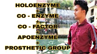 HOLOENZYME APOENZYMECO  FACTORCO ENZYME  PROSTHETIC GROUP [upl. by Anastas]