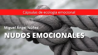 Nudos emocionales  Dr Miguel Ángel Núñez [upl. by Placeeda]