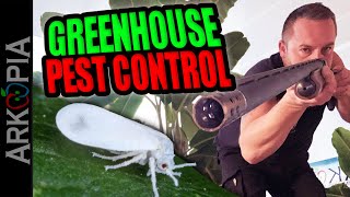 Greenhouse Pests  Insecticidal Soap Beneficial Bugs amp more for whiteflies aphids gnats etc [upl. by Marozik256]