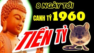 8 ngày tới cầu trời phật độ Tử vi Canh Tý 1960 giàu lên nhanh chóng Bội thu tiền tỷ [upl. by Ralat]