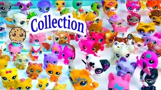 Mega Littlest Pet Shop Collection Tour All Cats Dogs Fairy More Animals LPS Toys Videos Cookieswirlc [upl. by Mehelhteb750]