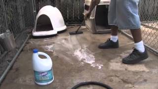 Ways to Clean your Dog Kennel  Dogs Health [upl. by Airdnua]