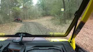 Muddy Bottoms Cajun Mardi Gras 2024 Trail Riding [upl. by Eizzik]