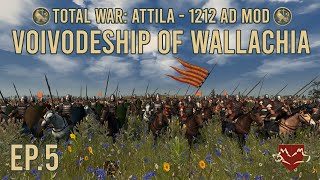 Total War Attila 1212 AD Mod  Voivodeship of Wallachia  Ep 5 [upl. by Margarida]