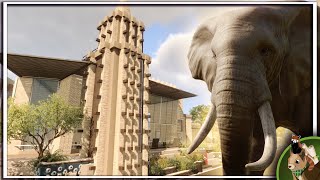 Creating the Perfect African Savannah Elephant Habitat  Planet Zoo Speedbuild  Naturalis Ep 23 [upl. by Notyalc]