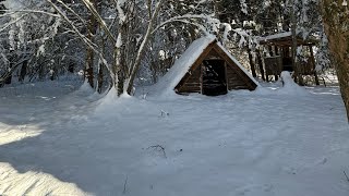 Forest Log Cabin Homeschool Project [upl. by Lennor]