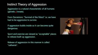 Aggression in Sport [upl. by Alyson]