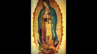 Melodía en el manto de la virgen de guadalupe [upl. by Yenar]