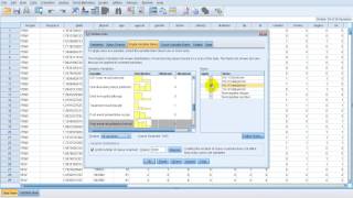 Data Validation  SPSS 21 [upl. by Ttennaj]