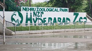 nehru Zoological park Hyderabad travel vlog [upl. by Anerbes627]